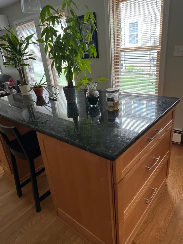 A kitchen island with dark granite counters and houseplants by the window
